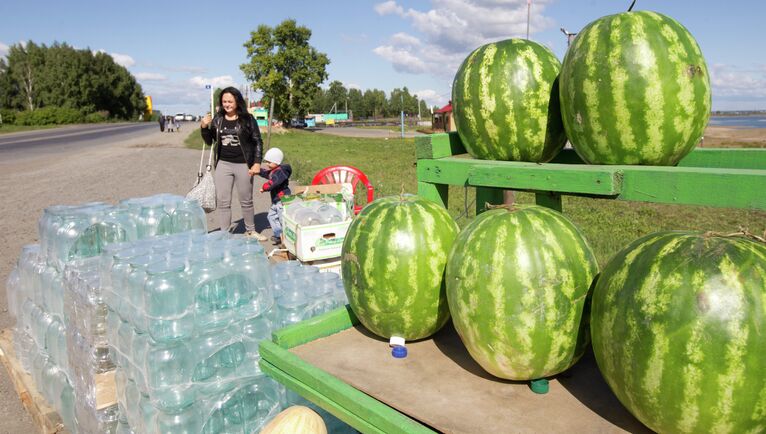 Рейд по точкам продажи бахчевых