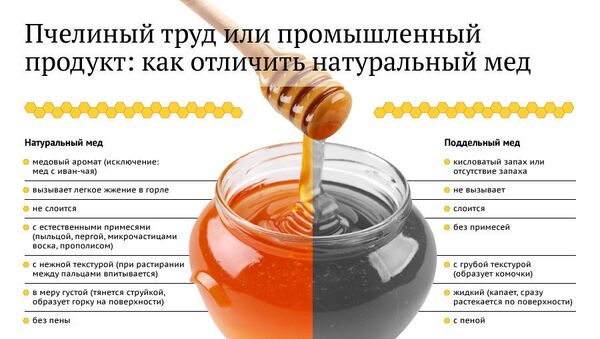 Пчелиный труд или промышленный продукт: как отличить натуральный мед