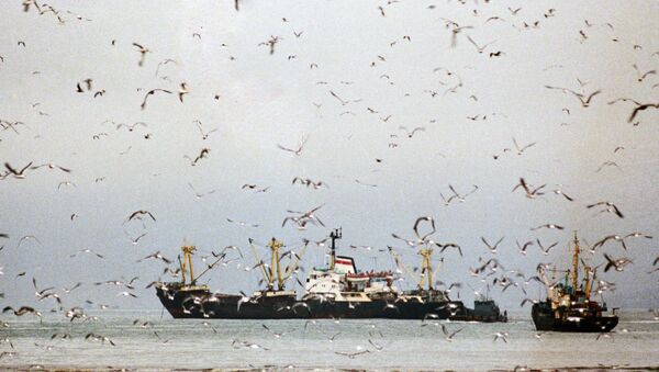 Рыболовецкие судна в море. Архивное фото