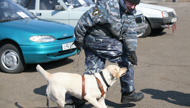 Кинолог-специалист со служебной собакой