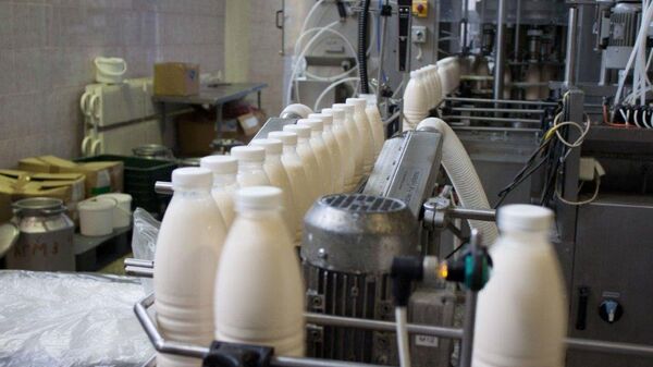 Производство молока. Архивное фото