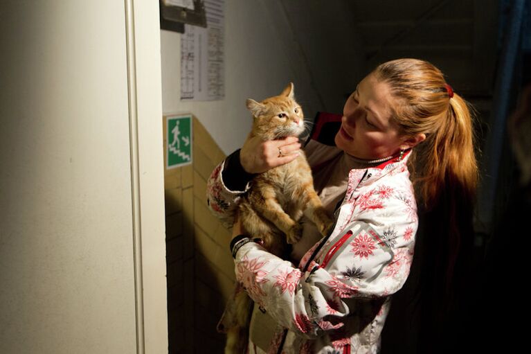 Кот, переживший взрыв в доме