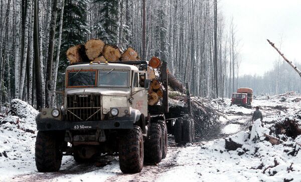 Работы по заготовке леса, архивное фото