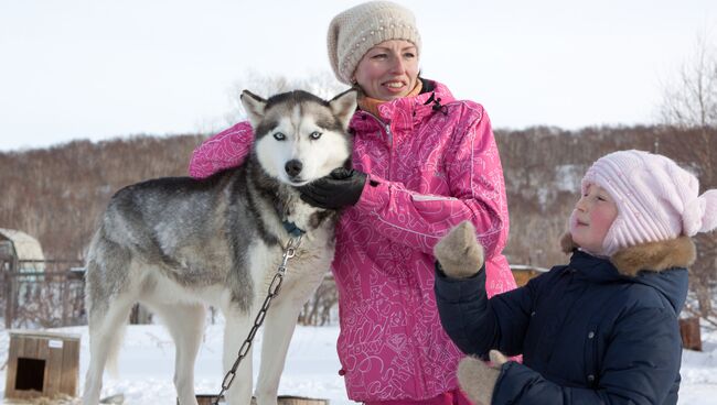 Снег