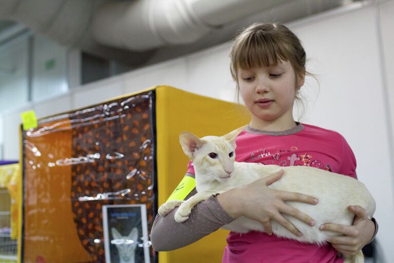 Выставка кошек в центре Технопарк