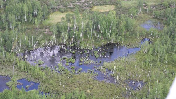 Сто лет назад Тунгусский метеорит упал в районе реки Подкаменная Тунгуска