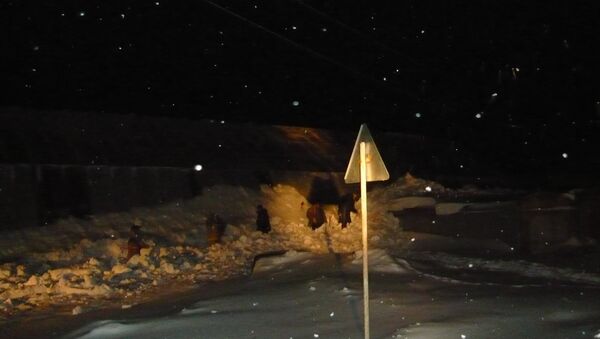 Семилетний ребенок погиб из-за схода снега с крыши в селе Парабель Томской области