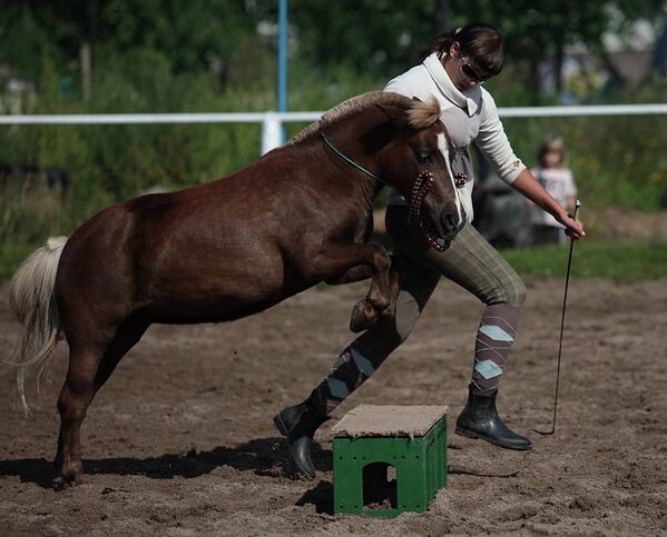 30-летие конно-спортивного клуба Кентавр