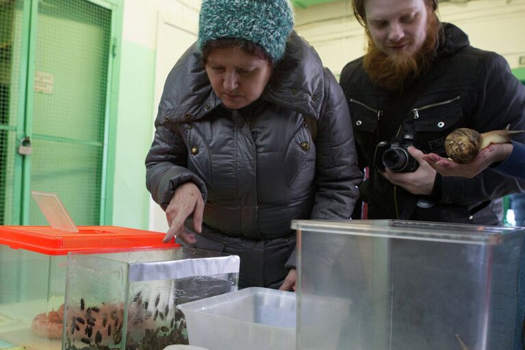 Акция Победи свой страх в Северском зоопарке