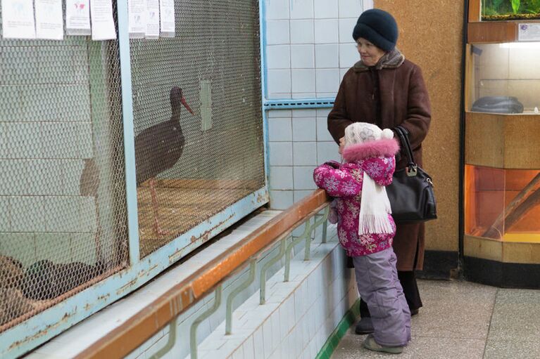 Акция Победи свой страх в Северском зоопарке