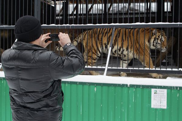 Акция Победи свой страх в Северском зоопарке