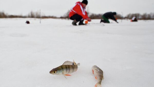 Фестиваль Народная рыбалка под Томском, фото из архива