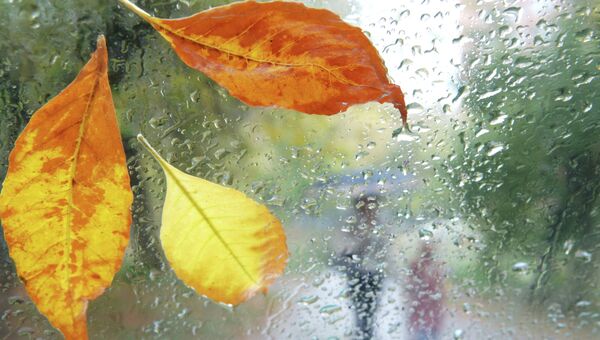 Дождливая осень. Архивное фото