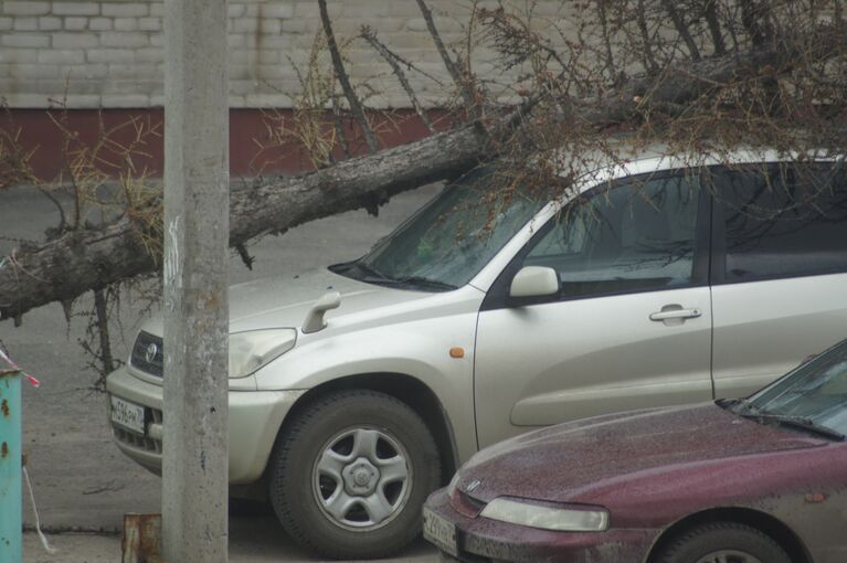 Ураган в Томске