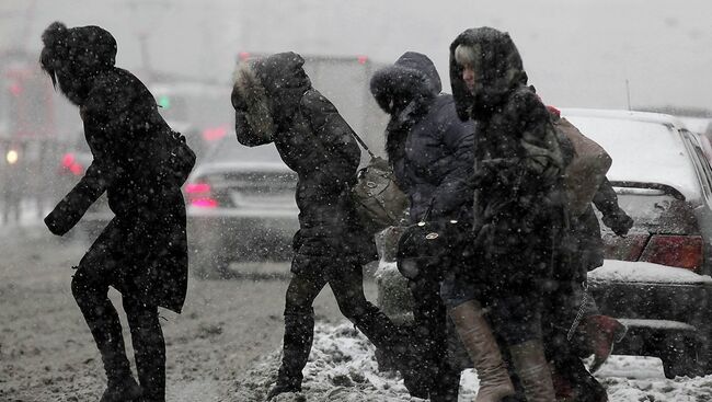 Снегопад в Петербурге