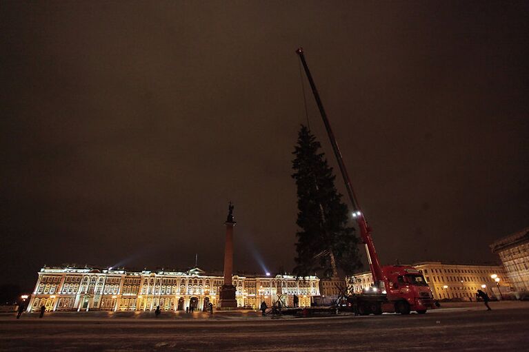 Установка новогодней ели на Дворцовой площади