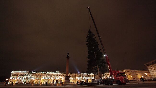 Установка новогодней ели на Дворцовой площади