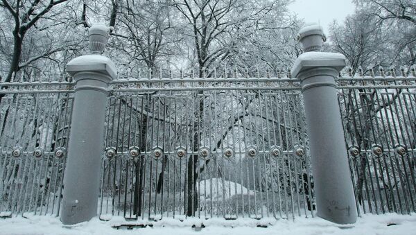 Летний сад в Санкт-Петербурге зимой. Архив