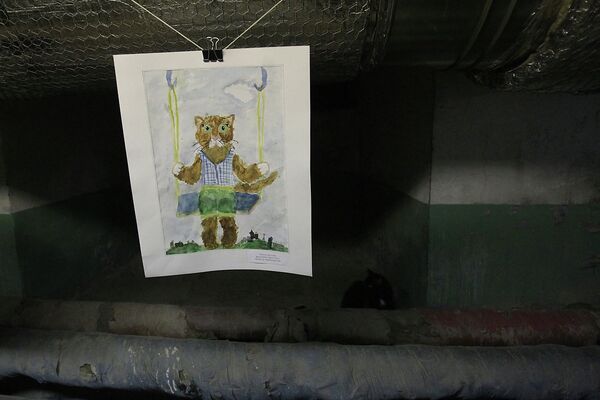 В подвале Эрмитажа во время ежегодной акции День эрмитажного кота