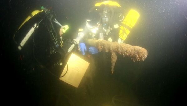 Дайверы-поисковики установили памятную доску на затонувшей подлодке С-9