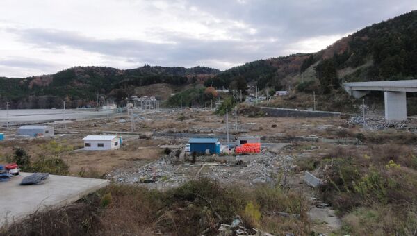 Северо-восток Японии, пострадавший от стихийного бедствия 11 марта 2011 года