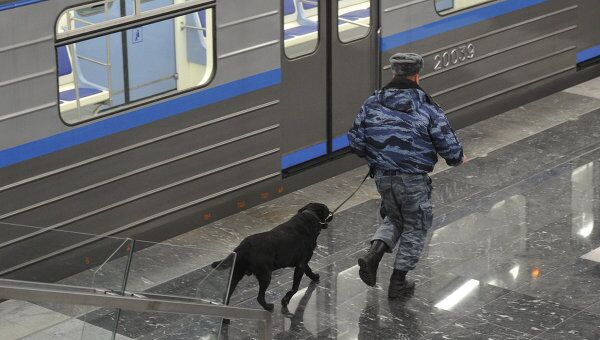 Сотрудник правоохранительных органов с собакой осматривает платформу метро, архивное фото