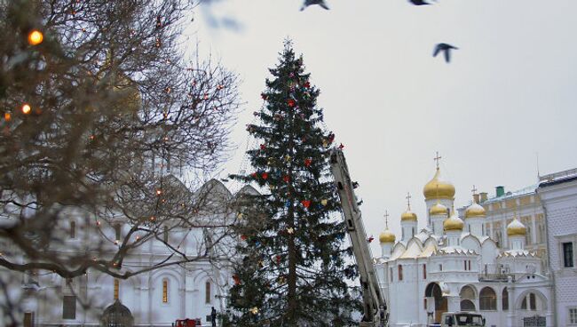 Украшение новогодней елки на Соборной площади Кремля