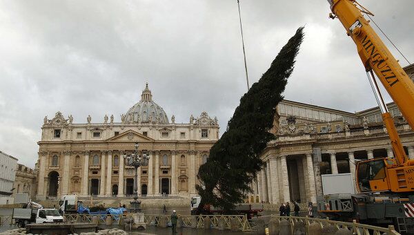 Рождественская елка на площади Святого Петра в Ватикане