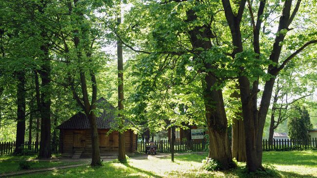 Театральный фестиваль Мелиховская весна. Архив