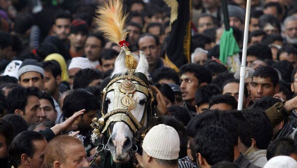 Лошадь, символизирующая лошадь имама Хусейна, во время процессии Мухаррам в городе Сринагар
