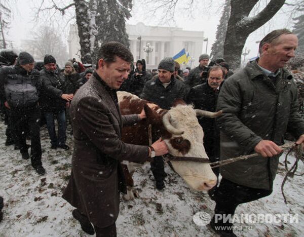 Украинские аграрии протестуют против принятия закона о рынке земли у задния Верховной Рады