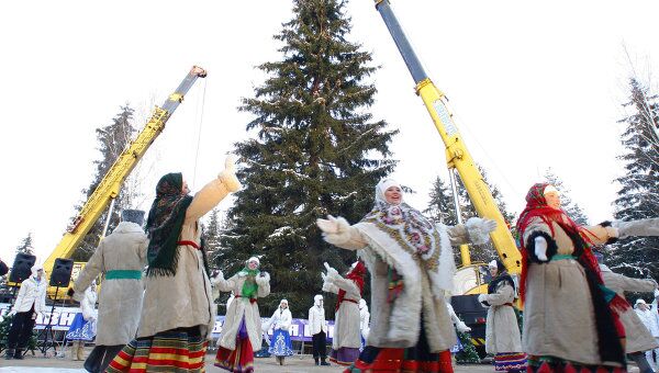 Главная новогодняя ель России спилена на территории Звенигородского лесничества