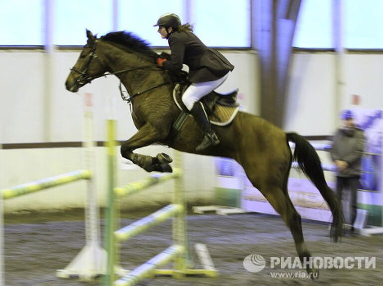 Чемпионат Московской области по конкуру