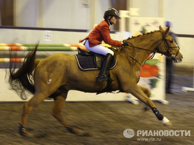 Чемпионат Московской области по конкуру