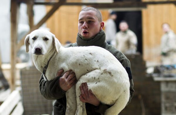 Немецкий солдат несет собаку