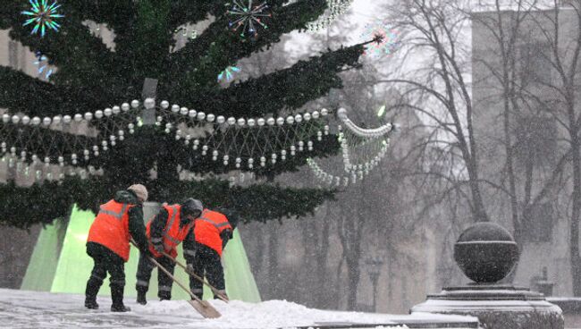 Новогодняя елка. Архивное фото