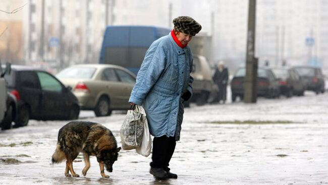 Гололед