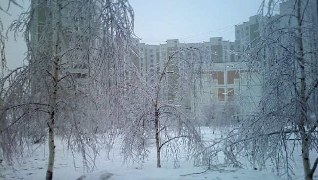 Зимний день в Москве