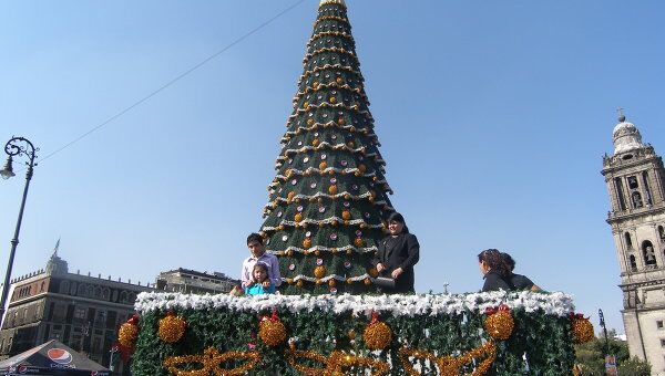 В центре Мехико установили рождественскую ель и открыли каток