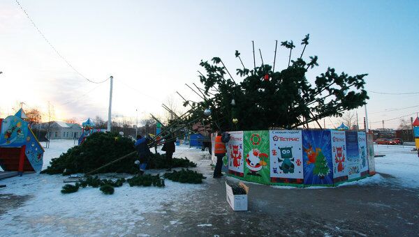 В Петрозаводске упала главная новогодняя елка