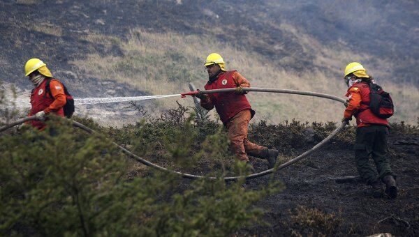 Пожарные борются с лесными пожарами в Чили