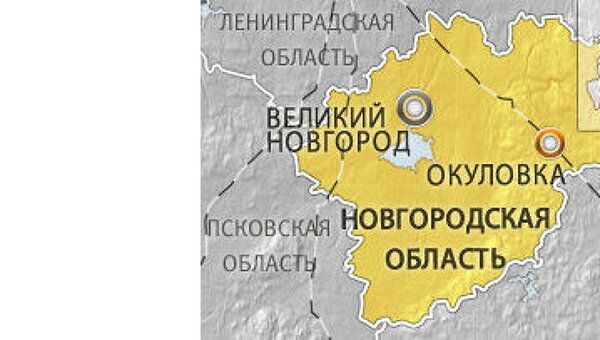 Три человека погибли при опрокидывании легковушки в болото в Новгородской области