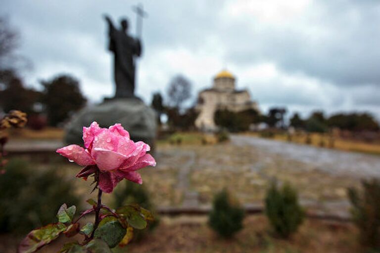 Цветы в январе: аномально теплая зима в Севастополе