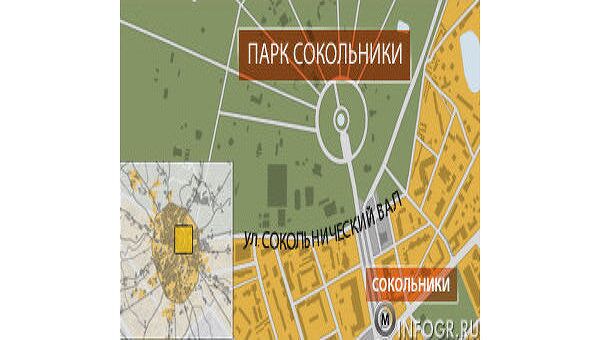 МЧС не исключает поджога свалки спиленных деревьев на востоке Москвы