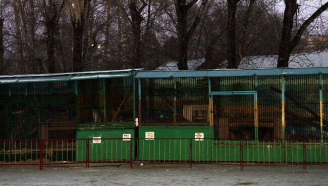 Передвижной зоопарка Лигер в Благовещенске, в котором тигр напал на ребенка