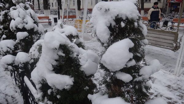 Сильный снегопад в Туле
