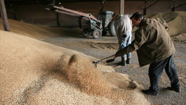 Экспорт зерна из России к 27 марта составил 22 млн тонн