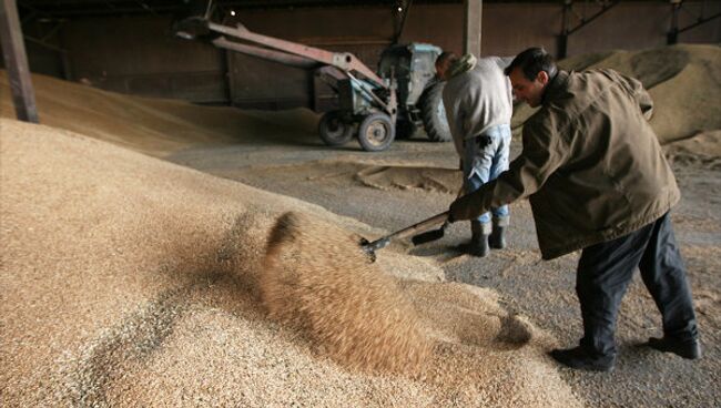 РФ может ввести ограничительные пошлины на экспорт зерна с 1 апреля