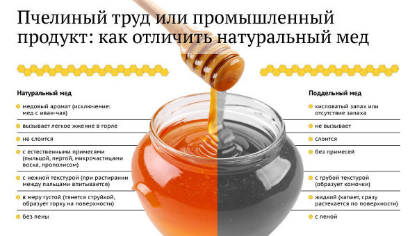 Пчелиный труд или промышленный продукт: как отличить натуральный мед
