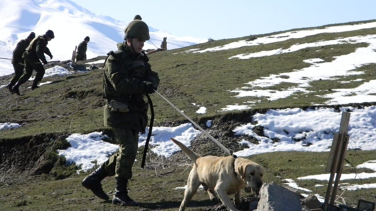 Военнослужащие 201-й российской военной базы в Таджикистане на полигоне Ляур - РИА Новости, 1920, 18.01.2022